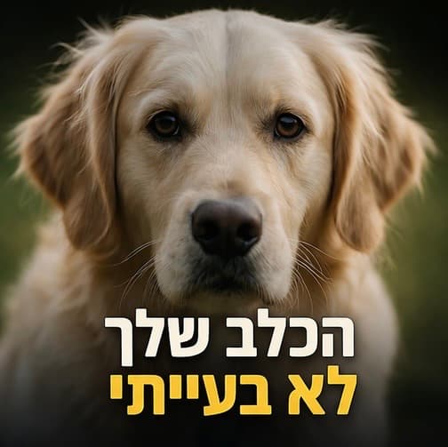הכלב שלך לא בעייתי